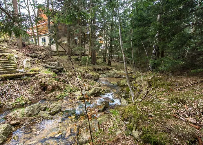 Hotelove Z Sauną Przy Strumieniu Apartament